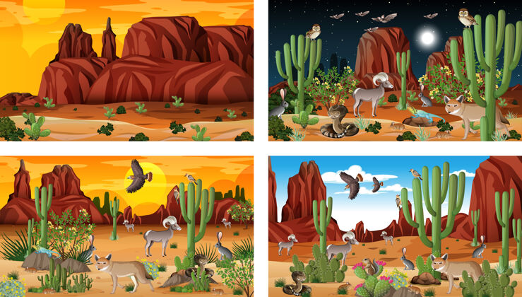 卡通四种不同的沙漠森林景观与动植物场景干燥沙丘天气