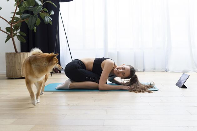 感情年轻的女人在她的狗旁边做瑜伽谊狗