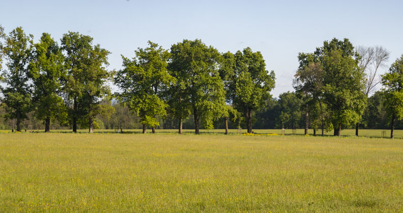 农村美丽的草地与树木在表面拍摄农村农业农场