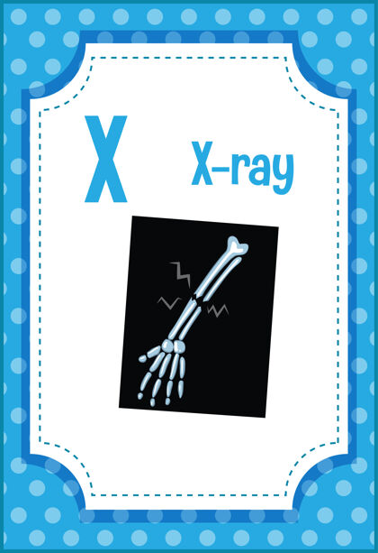 艺术家字母表抽认卡与字母x射线书信词汇娱乐