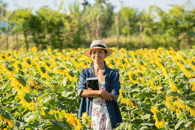 种子农学家手里拿着一块写字板 在田里种向日葵 在网上销售 女孩在田里分析植物的生长情况 现代技术 耕作观念分析向日葵油农村
