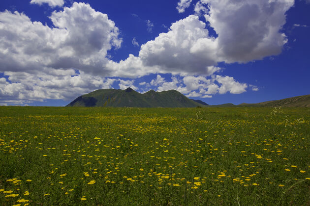全景阿拉拉特山和它的景色环境草风景