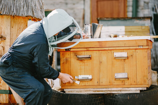 生产一个成熟的养蜂人在靠近蜂箱的蜂箱上工作直接从蜂箱中提取天然蜂蜜收获检查蜂蜜