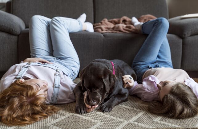 生活方式女人和狗躺在地板上狗在家里全镜头