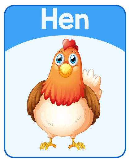 青少年母鸡教育英语单词卡游戏母鸡教育