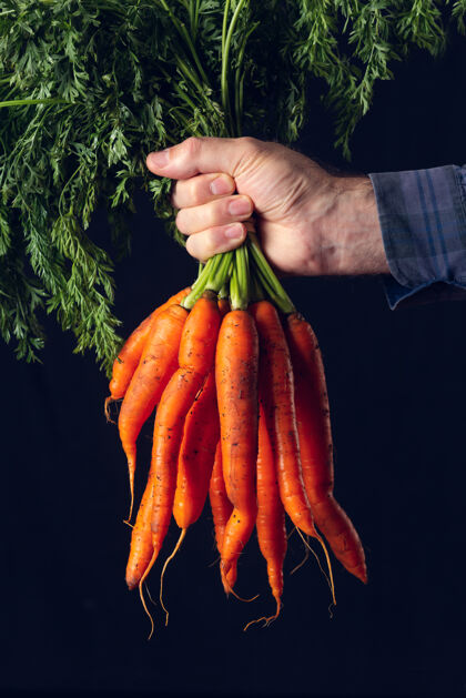 农业一个农民手里拿着一堆没有清洗过的新鲜胡萝卜蔬菜绿色胡萝卜