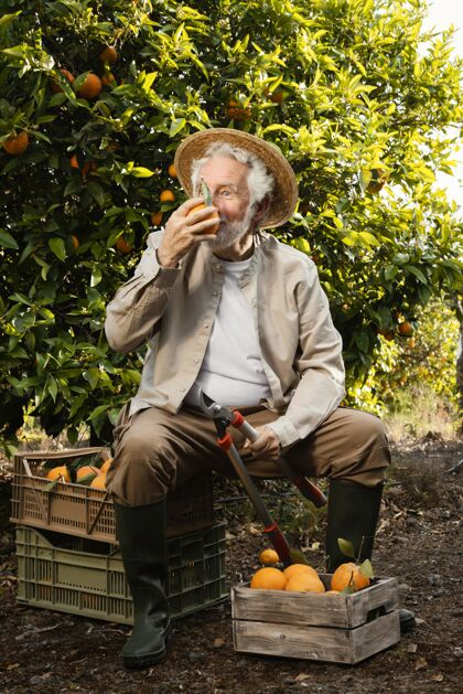 农产品拿着新鲜橙子的老人多汁水果美味