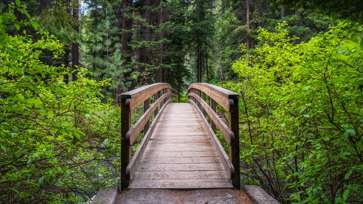 树森林里的人行天桥小溪山桥