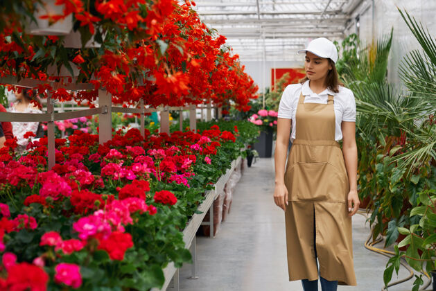 园艺在现代化的大温室里散步的迷人女人室内植物工作零售