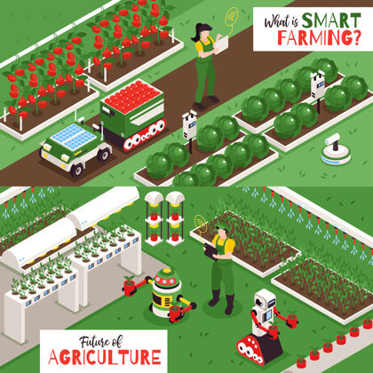人等距智能农场组成和人物插图种植农作物五彩缤纷