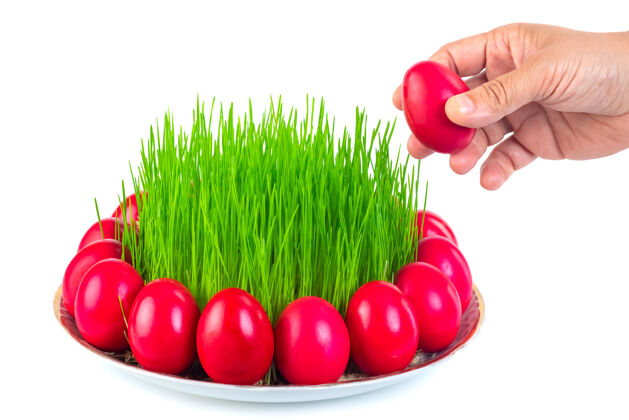 乐趣红色的复活节彩蛋围绕着麦草盘上的白色隔离开来 女人的手美丽礼物绘画