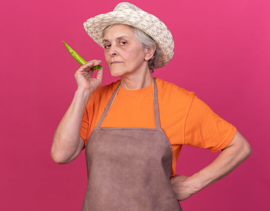 辣的自信的上了年纪的女园丁戴着园艺帽 手里拿着粉红色的辣椒老人自信园艺