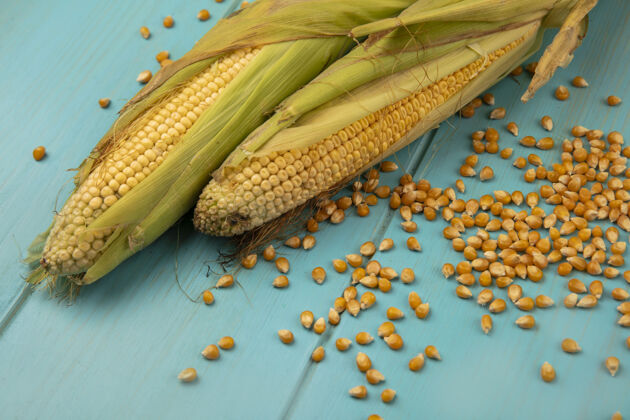 食物有机玉米的俯视图 玉米粒被隔离在蓝色的木桌上新鲜顶部玉米