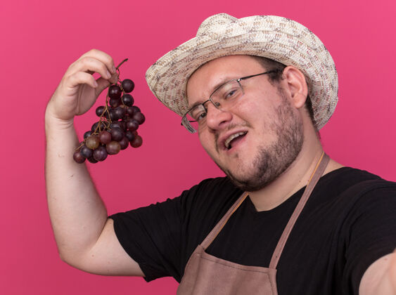 葡萄高兴的年轻男园丁戴着园艺帽 把葡萄隔离在粉红色的墙上请园艺持有
