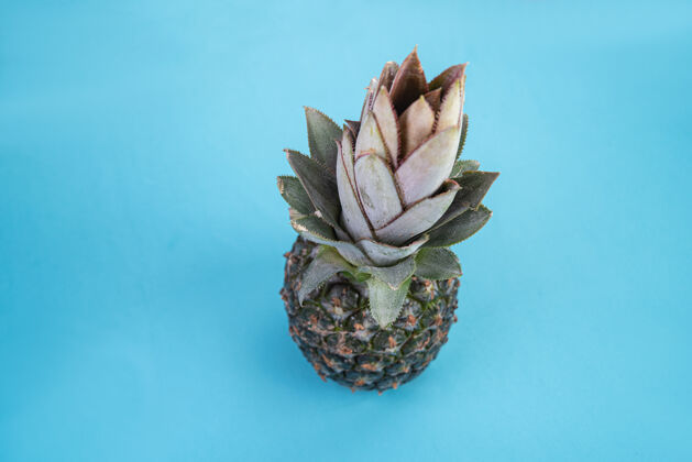 食物蓝色表面上的菠萝特写厨房自然