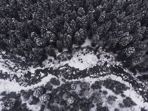 天气空中拍摄森林里美丽的雪松冷杉冰树