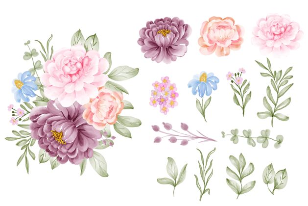 安排一套花粉色紫色和叶子孤立剪贴画水彩花束优雅
