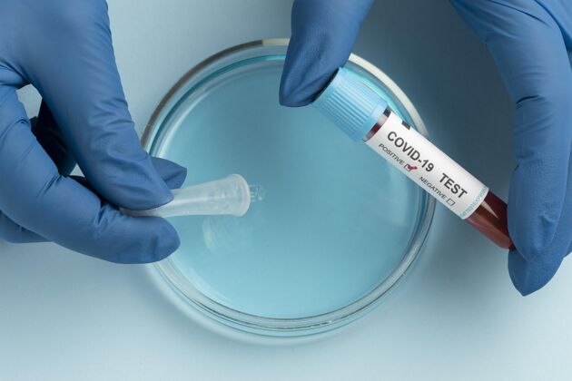 实验室戴着防护手套的手用培养皿做covid测试病毒危险健康