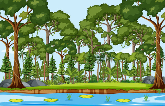 木材有池塘和许多树的森林景色旅游树自然