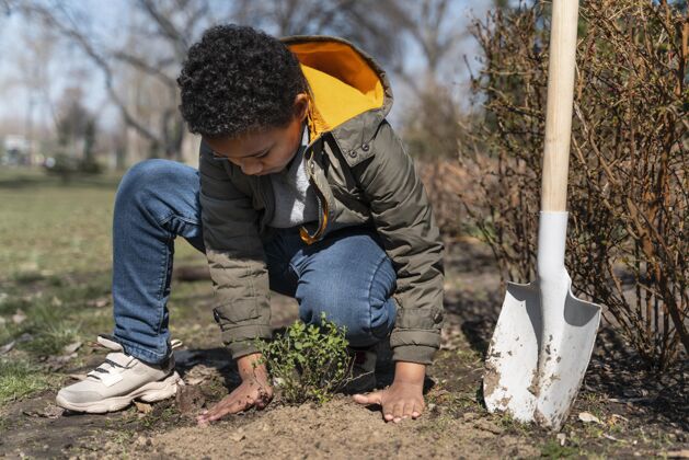 地面孩子在学习如何种树种植有机培育