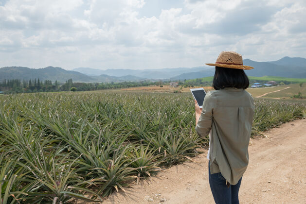 平板电脑亚洲女农民在农场看到菠萝的生长农业产业 农业经营理念智能农场系统的创新技术 农民职业农民在田里拿着平板电脑立场人农村