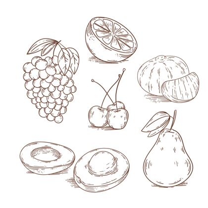 什锦雕刻手绘水果收藏食品美味手绘水果