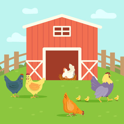 鸟可爱的母鸡和小鸡在农场院子里散步坐鸡羽毛