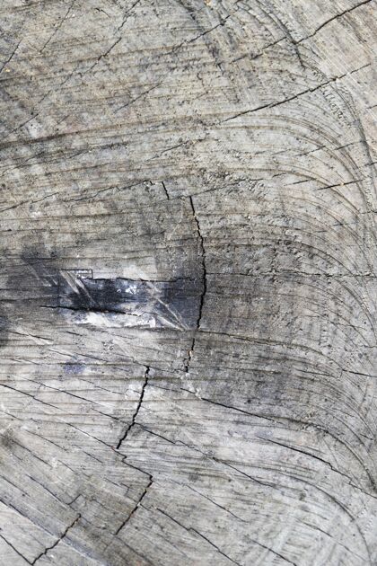 木头背景特写木材纹理背景特写木头背景