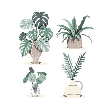 包装手绘室内植物收藏室内植物套装手绘