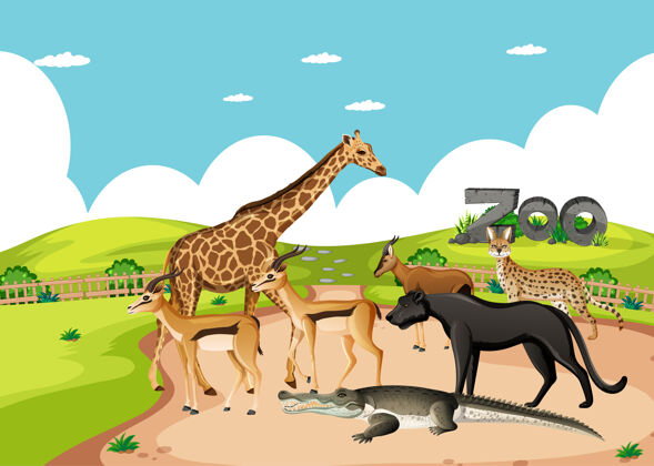 动物动物园里一群非洲野生动物的场景生活野生生物