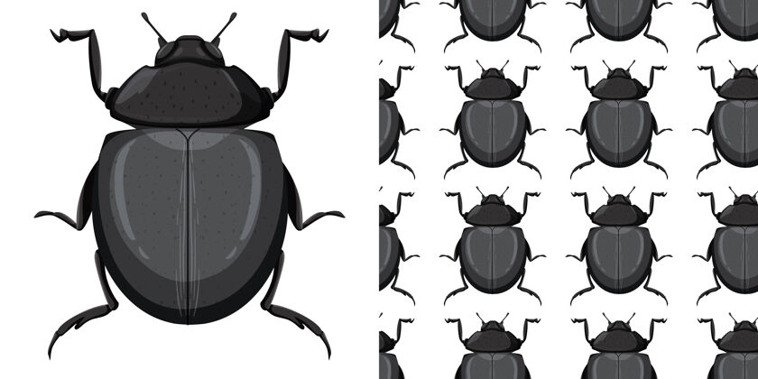 动物甲壳虫和无缝背景小组设置