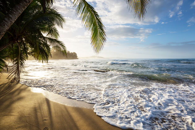 美国哥斯达黎加美丽的热带太平洋海岸天堂树全景