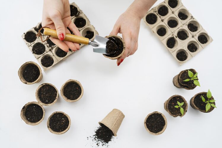 植物学顶视图植物的土壤土壤园艺收获