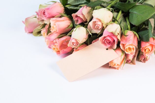 头一束美丽的粉红色玫瑰 白色背景上有一张孤立的卡片花瓣花蕾白色