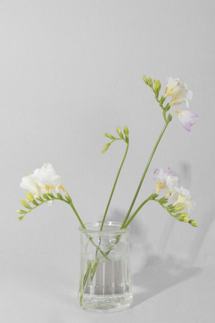 花在桌上的花瓶里开花花叶叶子