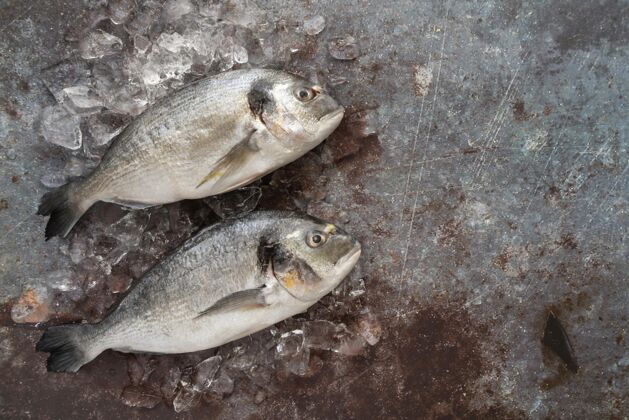 新鲜俯瞰美味海鲜的布置食物鱼配料