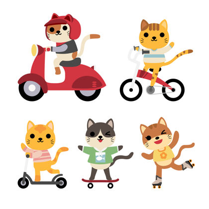 滑板一组有趣的猫在活动：骑马 自行车 自行车 轮滑 滑板微笑自行车活动