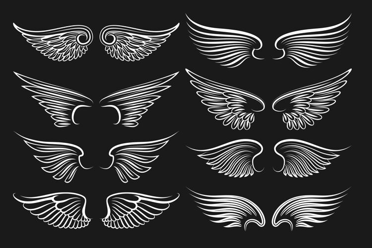 动物翅膀黑色元素天使和鸟的翅膀白色翅膀的插图纹身翅膀纹章