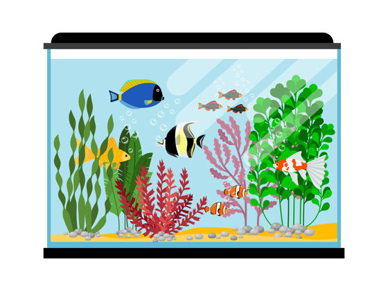 潜水卡通鱼在水族馆盐水或淡水鱼缸插图水动物金鱼 海洋热带彩色鱼水下水国内