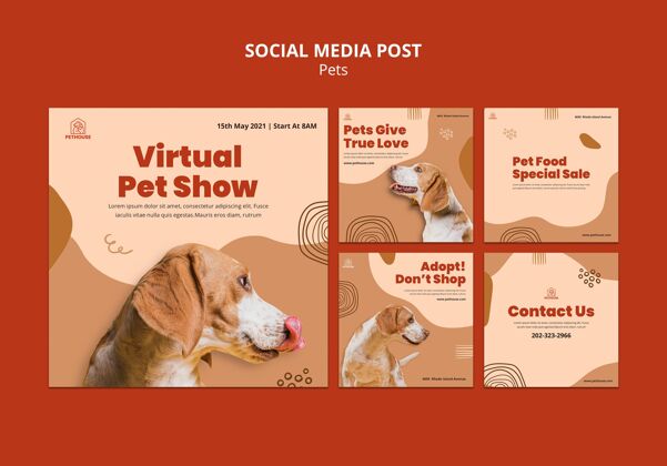 狗Instagram为宠物和可爱的狗发布了一系列帖子Instagram宠物商店可爱