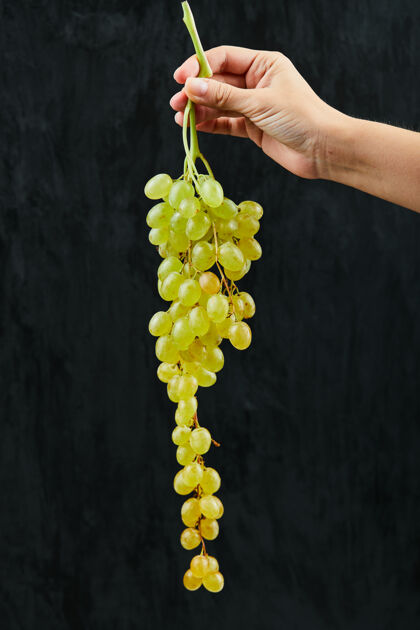串拿着一束黑底白葡萄 高质量的照片葡萄成熟餐