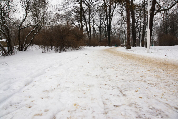景观在冬天 公园的道路和被雪覆盖的树木的美丽景色寒冷冰冻季节