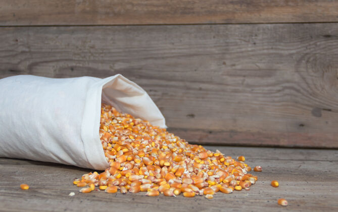 谷类用整袋玉米来喂动物粮食玉米营养