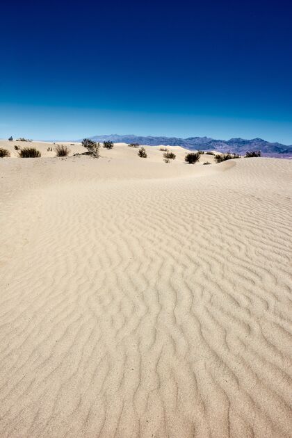 天空阳光明媚的风景梅斯基特平坦的沙丘在死亡谷国家公园 加利福尼亚州-美国石头平坦干旱