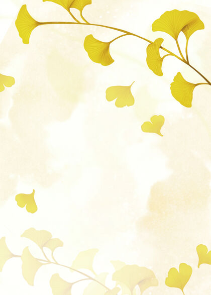植物背景黄色的银杏叶框架背景树叶边框季节