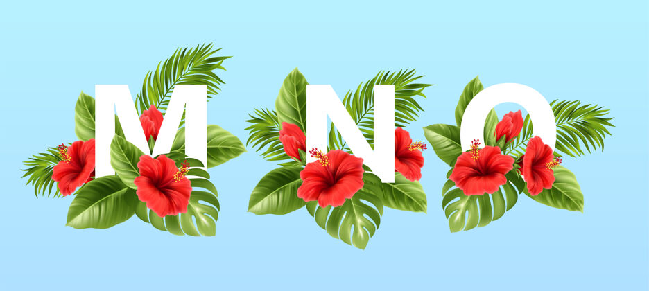 热带没有字母被夏天的热带树叶和红色的芙蓉花包围字母热带棕榈叶芙蓉