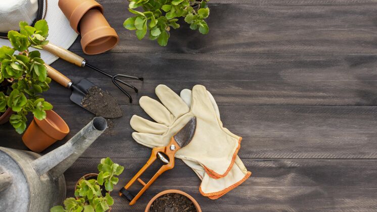 特写植物园艺工具靠近园艺工具水壶园艺手套