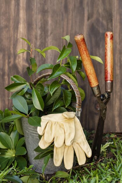 园艺手套用水壶浇花家里的花园水壶园艺工具
