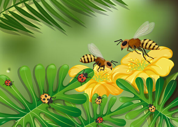 生物用许多蜜蜂和瓢虫特写花和叶的场景卡通自然树