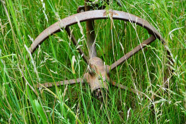 年龄特写镜头生锈的车轮农村设备在草地上季节农场村庄